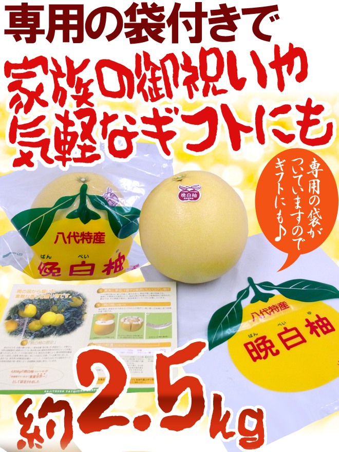 熊本県八代特産 ”晩白柚” ばんぺいゆ ちょっと訳あり 超特大3L