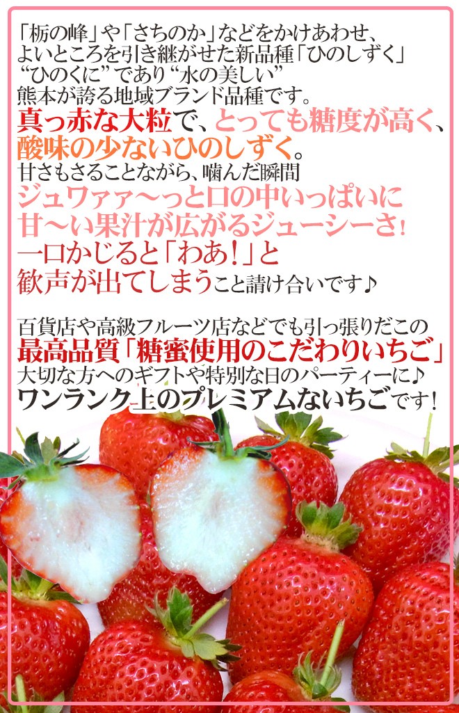 熊本県産 糖蜜使用のこだわりいちご ”ひのしずく きくちのまんま