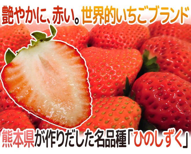 格安人気 熊本県 ひのしずくいちご 秀品 2パック入り 1パック 7 13粒 約300g 5箱 予約 12月 3月 注目ブランド Studiostodulky Cz