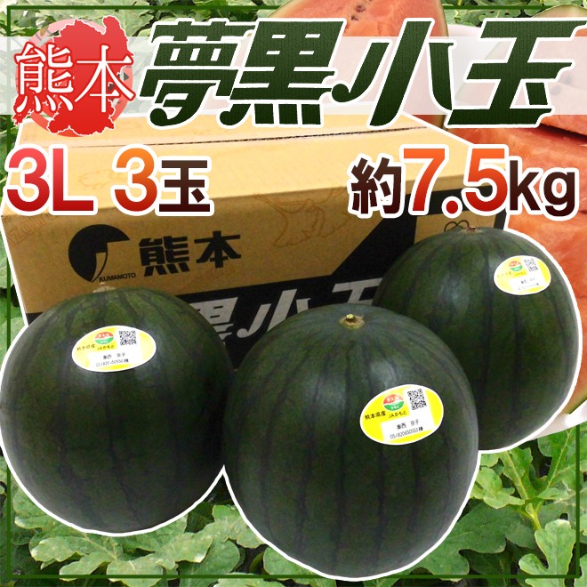 熊本県 黒皮すいか ”夢黒小玉” 秀・優品 3L 3玉 約7.5kg【予約 5月下旬