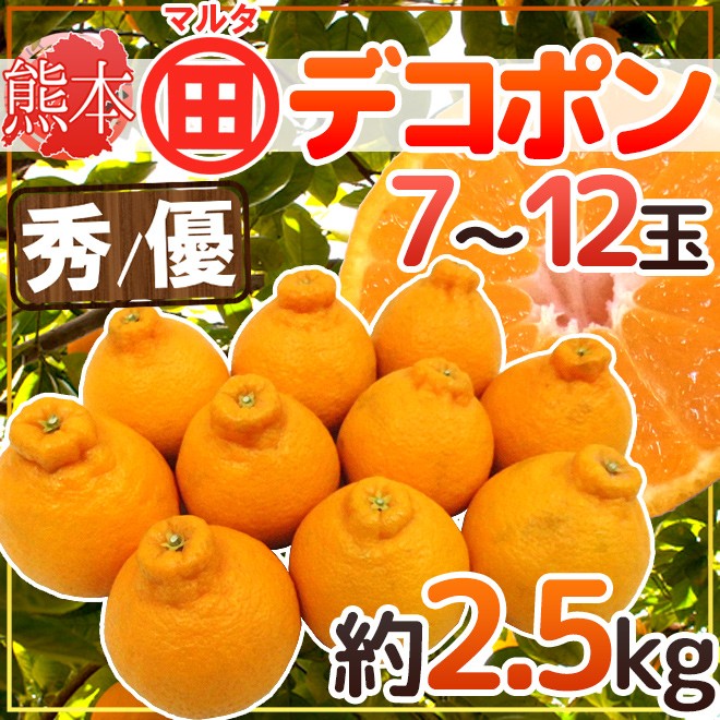 熊本産 マルタ（○田）デコポン” 秀・優品 7〜12玉 約2.5kg JAあしきた