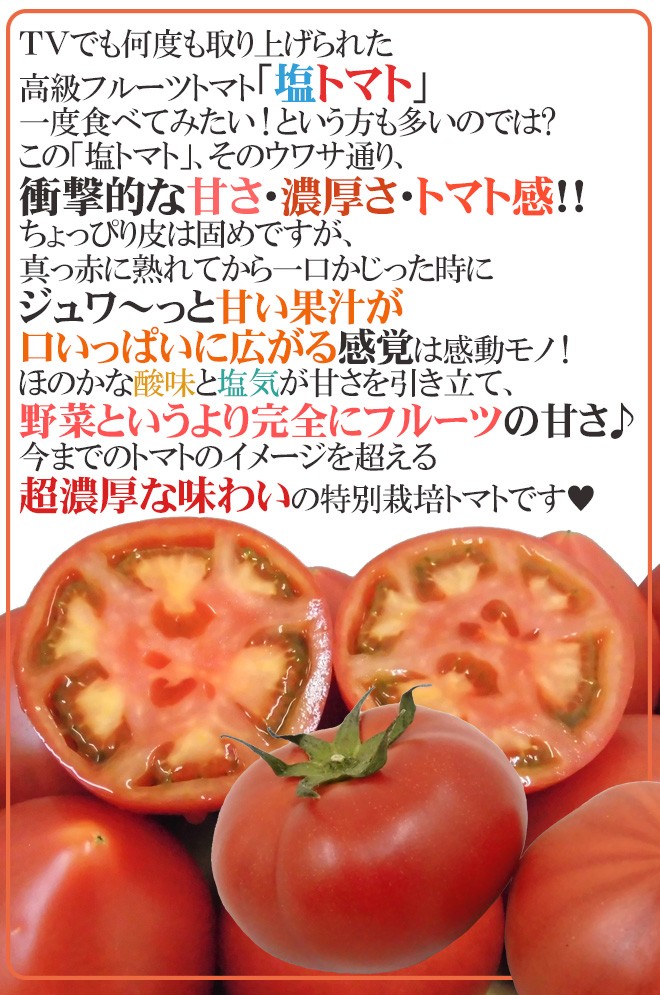 熊本産 塩トマト ”太陽の子セレブ” 約900g 化粧箱 糖度8度以上