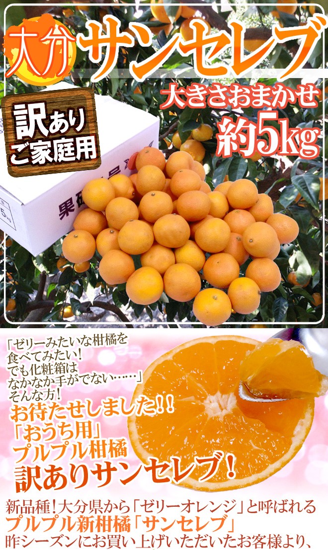 大分産 新品種 ”サンセレブ” 訳あり 約5kg 大きさおまかせ【予約 12月