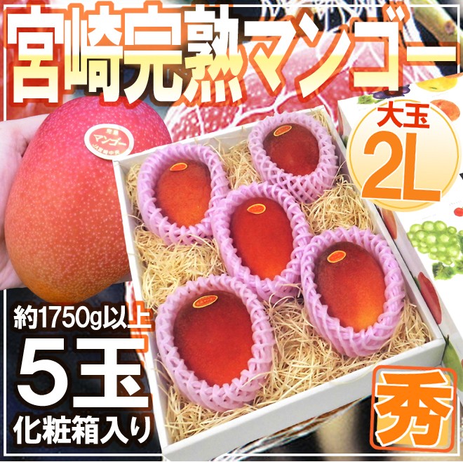 宮崎完熟マンゴー” 秀品 2Lサイズ 5玉入り 化粧箱 宮崎マンゴー【予約