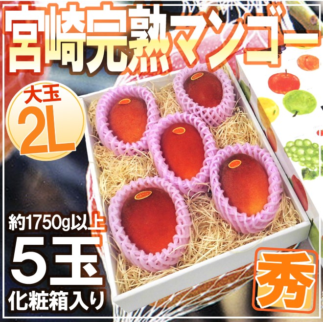 宮崎完熟マンゴー” 秀品 2Lサイズ 5玉入り 化粧箱 宮崎マンゴー【予約