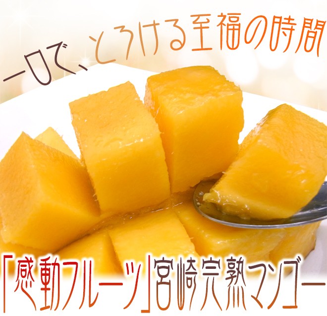 宮崎完熟マンゴー” 秀品 5Lサイズ 1玉 約650g以上 化粧箱 宮崎