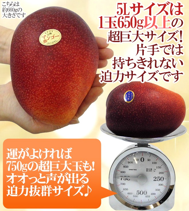 宮崎完熟マンゴー” 秀品 5Lサイズ 1玉 約650g以上 化粧箱 宮崎