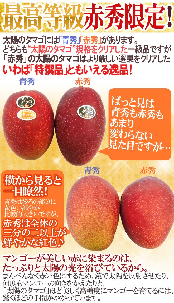 宮崎完熟マンゴー ”太陽のタマゴ” 特大玉3L 2玉入り 最高等級 赤