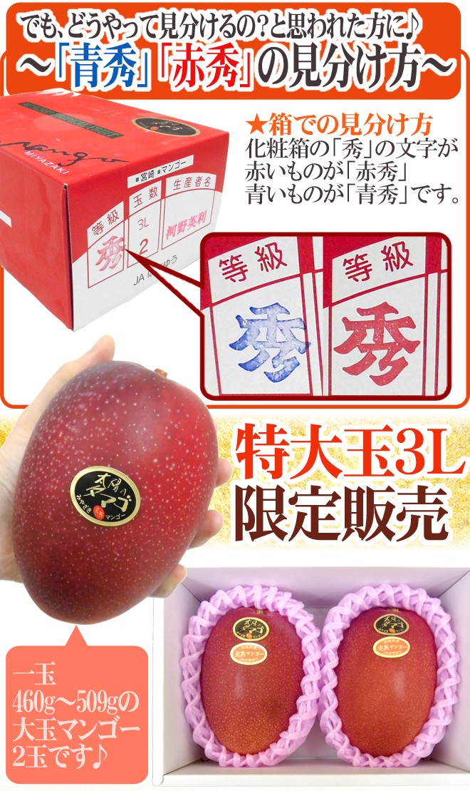 宮崎完熟マンゴー ”太陽のタマゴ” 特大玉3L 2玉入り 最高等級 赤