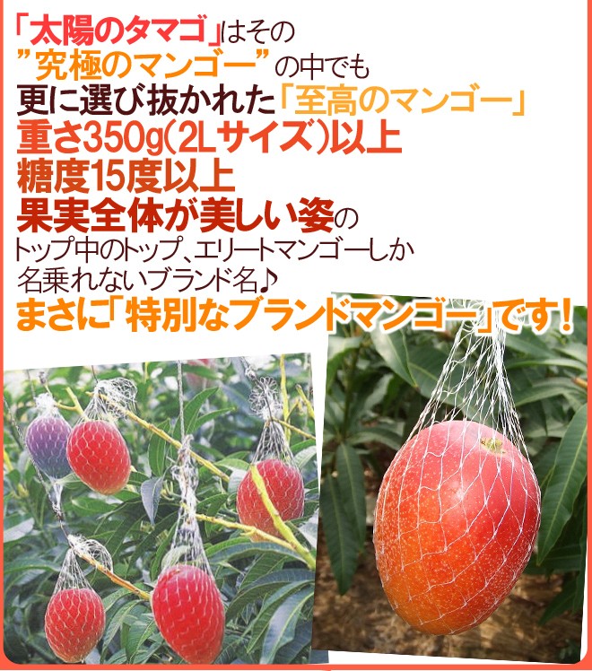 絶品 赤秀品【太陽のたまご】 宮崎完熟マンゴー 3L大玉6個 父の日 敬老の日 太陽のたまご（青秀）3L｜宮崎県産 完熟マンゴー｜│JAみやざき