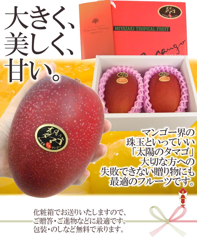 宮崎完熟マンゴー　８玉前後　3.5kgオーバー　大玉 宮崎完熟マンゴー 8玉前後3.5kgオーバー