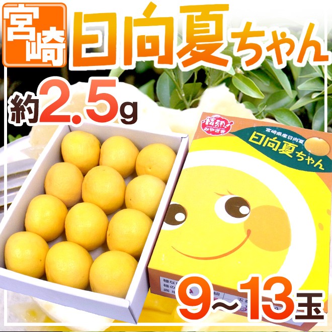 宮崎県産　種無し日向夏　20キロ 家庭用　超大特価‼️ 宮崎県産 ”日向夏” 9〜13玉 約2.5kg 化粧箱【予約 12月以降】 送料無料