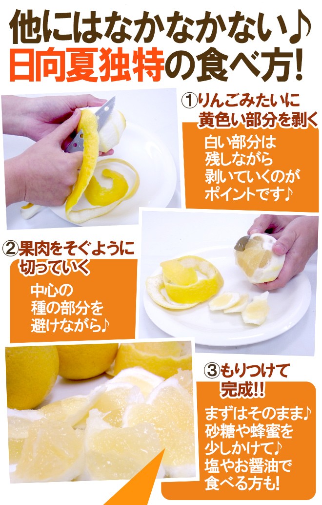 宮崎県産 ”日向夏” 9〜13玉 約2.5kg 化粧箱【予約 12月以降】 送料無料