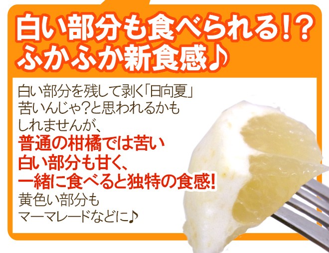 宮崎県産 ”日向夏” 9〜13玉 約2.5kg 化粧箱【予約 12月以降】 送料無料