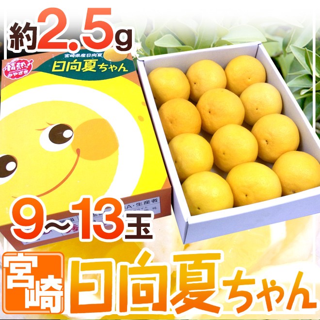 宮崎県産 ”日向夏” 9〜13玉 約2.5kg 化粧箱【予約 12月以降】 送料無料