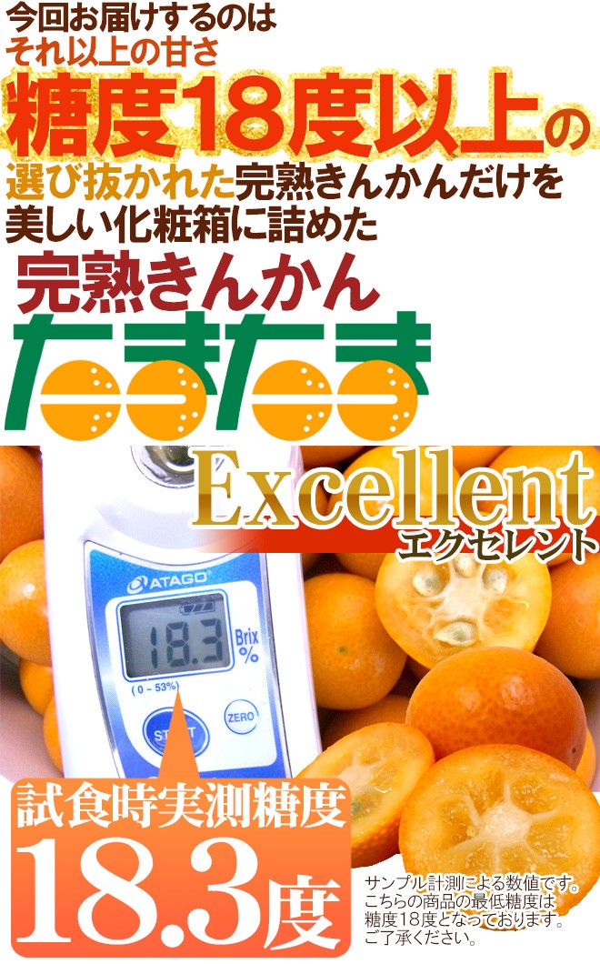 宮崎県 ”完熟きんかん たまたまエクセレント EX” 2Lサイズ 約1kg【予約