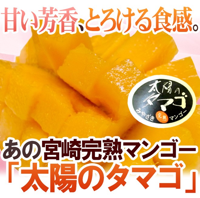 宮崎マンゴー ”太陽のタマゴ” 大玉 2Lサイズ 3玉 産地化粧箱【予約 4月