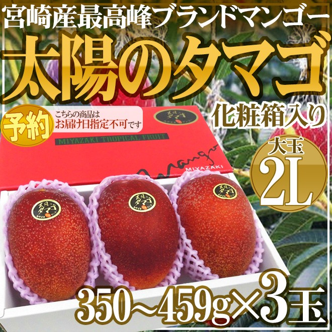 宮崎マンゴー ”太陽のタマゴ” 大玉 2Lサイズ 3玉 産地化粧箱【予約 4月