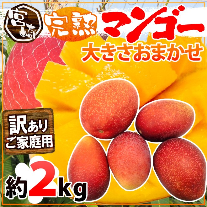 爆買い100%新品宮崎県産 完熟マンゴー 2kg パック り ヤマト配送 果物