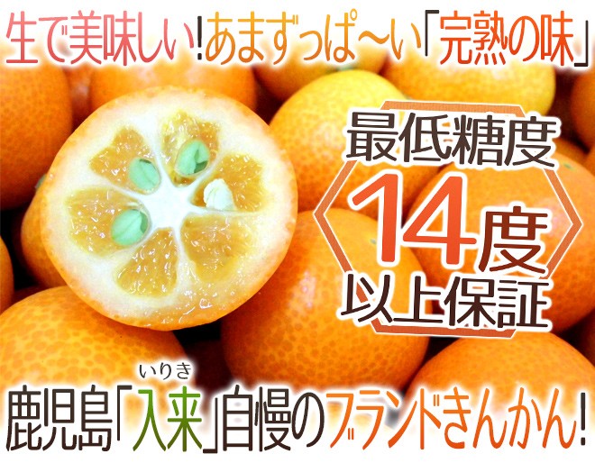 鹿児島県入来産 ”完熟きんかん いりき” 秀品 L〜3Lサイズ 約250g 鹿児島県入来産 ”完熟きんかん いりき” 秀品 L〜3Lサイズ 約250g