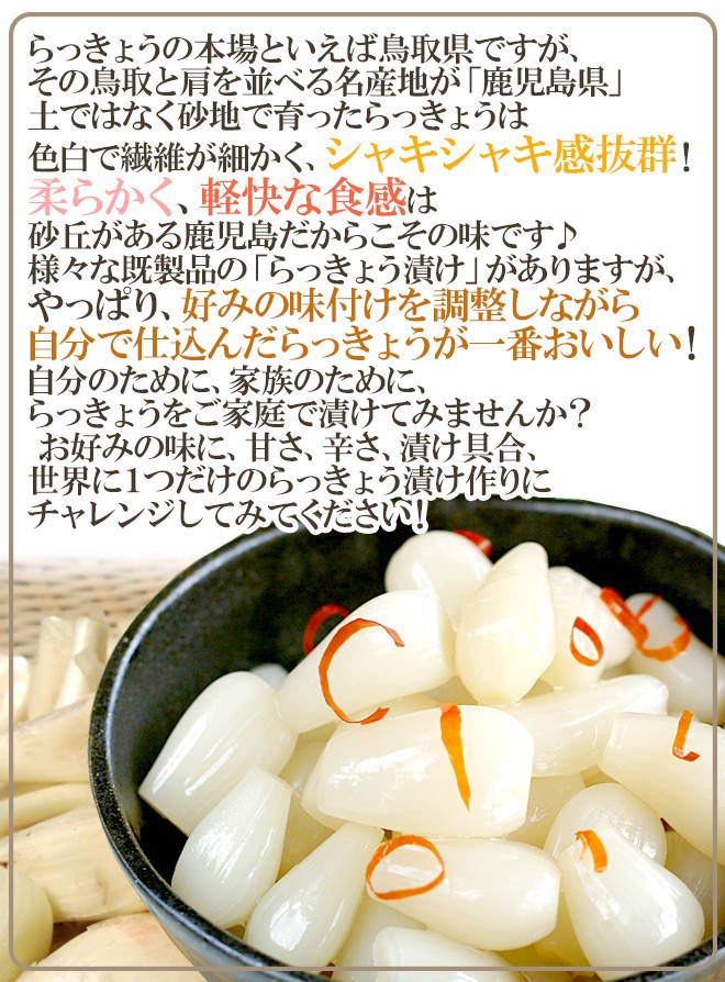土らっきょう ”鹿児島産 砂丘らっきょう” 秀品 Mサイズ 約1kg《10キロ