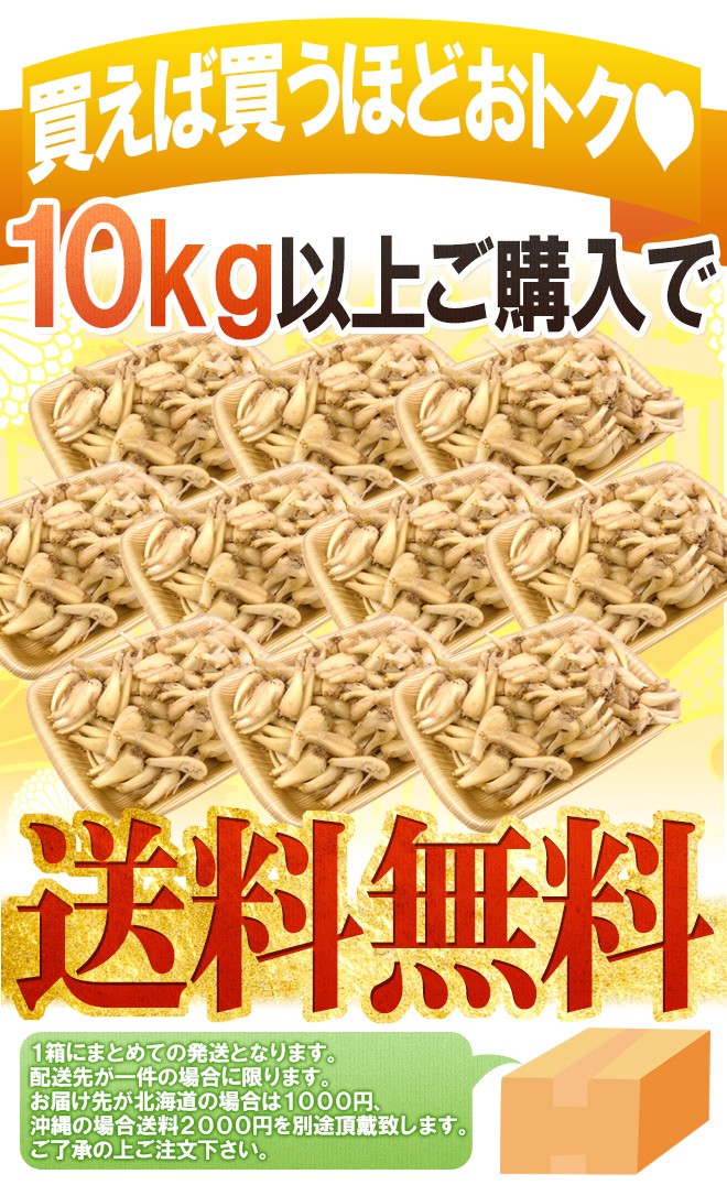 鹿児島県産砂丘らっきょう 10kg 土らっきょう ”鹿児島産 砂丘らっきょう” 秀品 Mサイズ 約1kg《10キロ