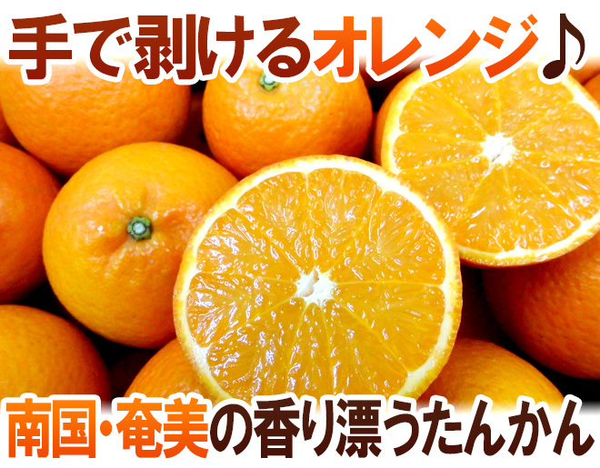 【訳あり・加工向け】屋久島産タンカン 約20kg 奄美大島・屋久島産 ”たんかん” 訳あり 2L以上 約2kg【予約 2月以降