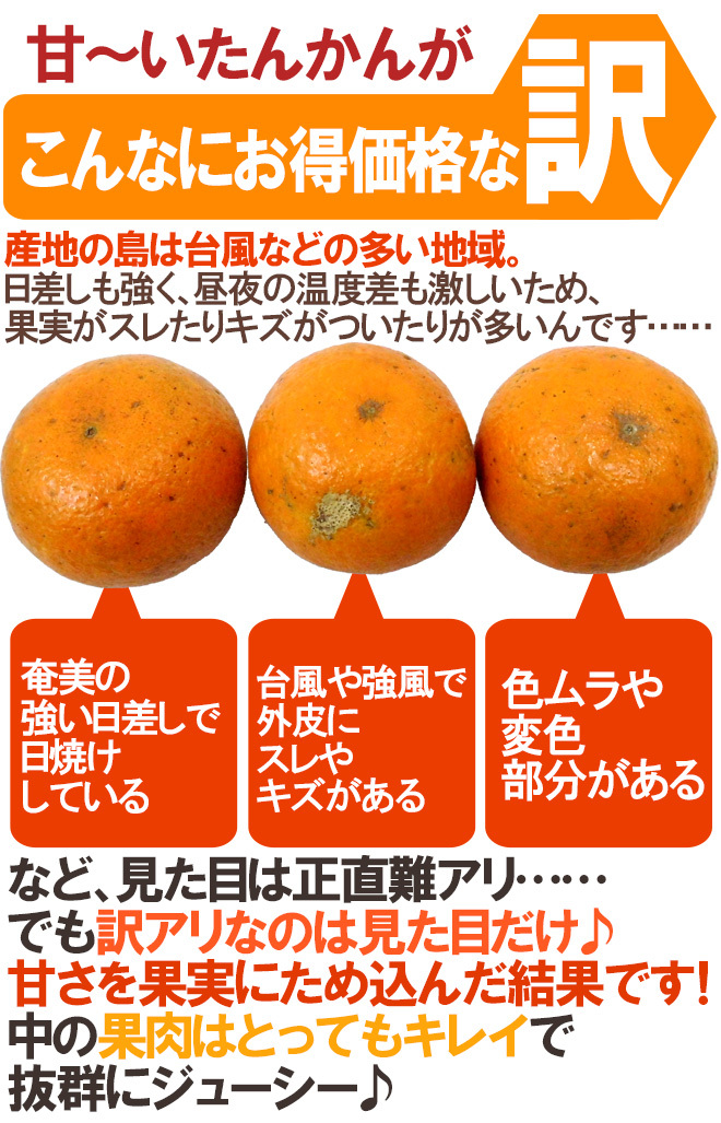 【訳あり・加工向け】屋久島産タンカン 約20kg 送料込み価格 奄美大島・屋久島産 ”たんかん” 訳あり M～L 約2kg【予約 2月以降