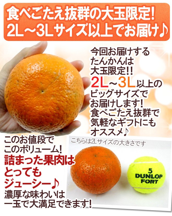 奄美大島・屋久島産 ”たんかん” 訳あり 2L以上 約2kg【予約 2月以降