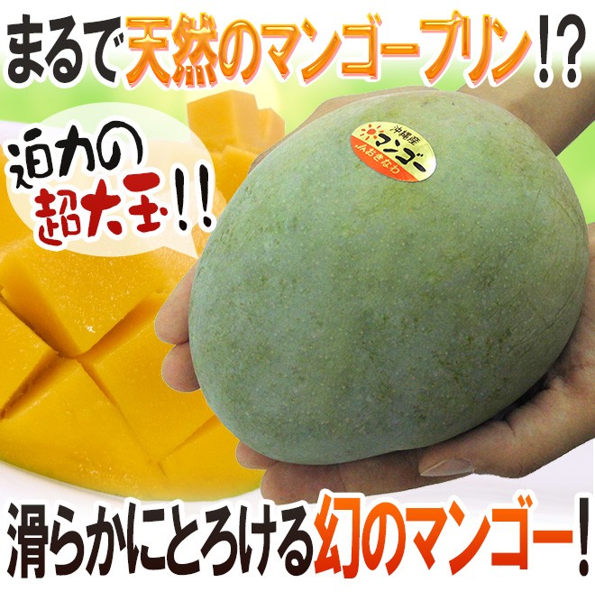 沖縄産 ”キーツマンゴー” 秀品 1玉 約500〜700g パック入り【予約 8月