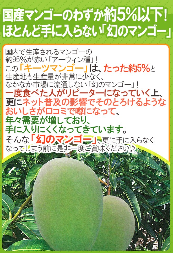 沖縄産 ”キーツマンゴー” 秀品 1玉 約500〜700g パック入り【予約 8月