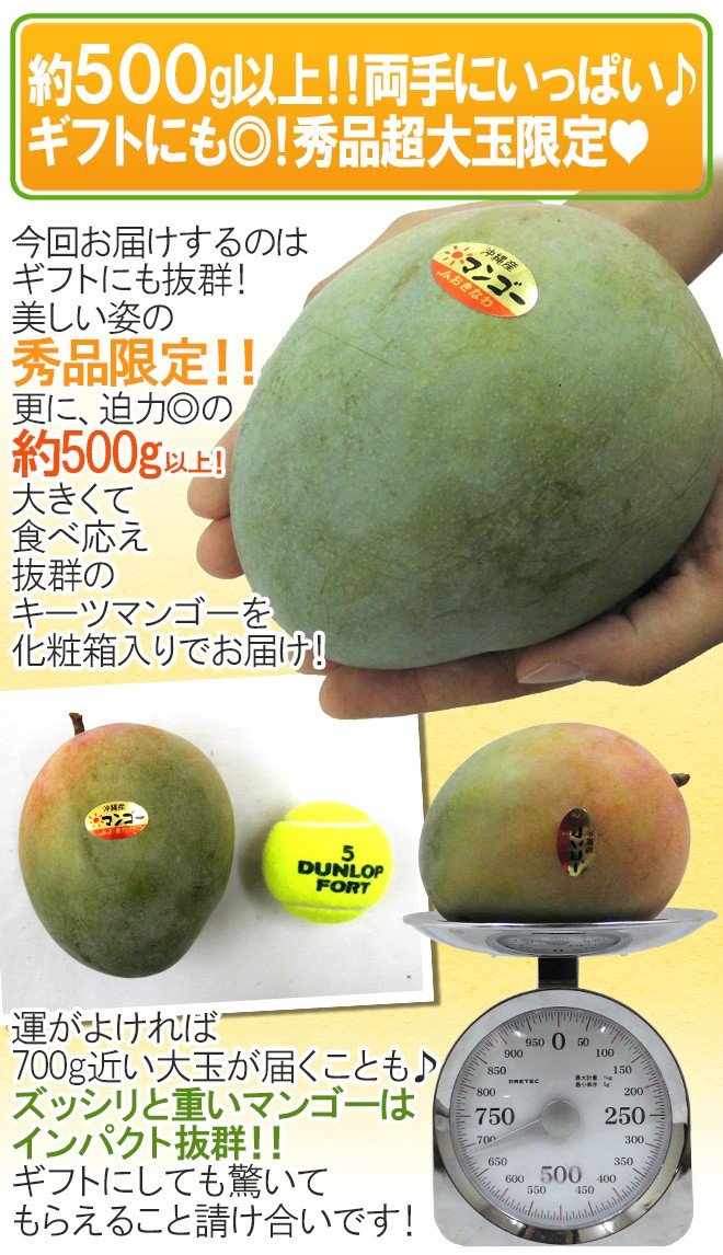 沖縄産 ”キーツマンゴー” 秀品 1玉 約500〜700g パック入り【予約 8月