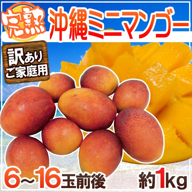 スーパーセール タイムセール 時間 沖縄産 パック 約1kg 6〜16玉前後 訳あり ”ミニミニマンゴー” フルーツ・果実