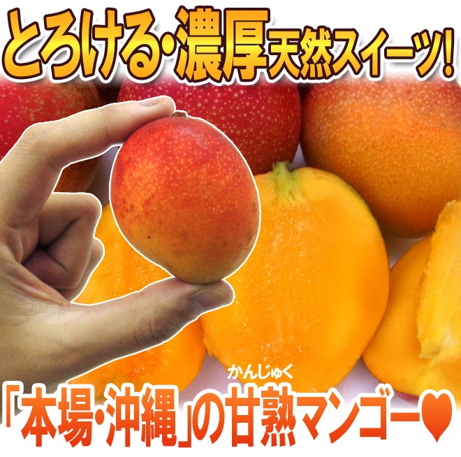 タイ産 マンゴー 4.5kg