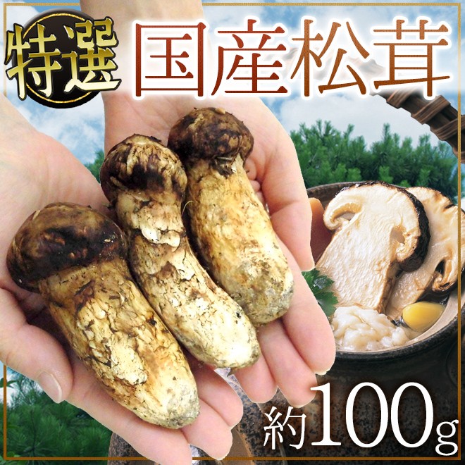 ☆信州産松茸☆限定1名様☆冷凍松茸1キロ！！☆国産松茸☆すき焼き、松茸ご飯等に☆ 楽天市場】松茸 生松茸 冷凍 開き 500g 1000g 1500g 8-15cm