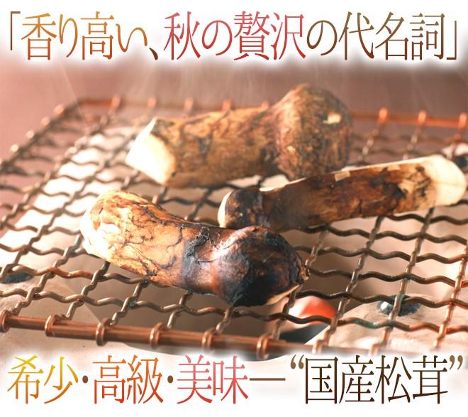 松茸　su様用 84-e_666.jpg