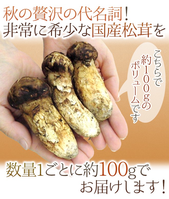 国産松茸” 約100g 大きさおまかせ 産地厳選【予約 9月下旬以降】 送料無料 : 1084048-100g : くらし快援隊 - 通販 -  Yahoo!ショッピング