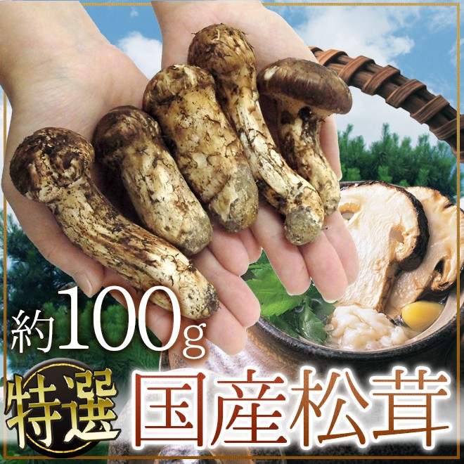 国産松茸” 約100g 大きさおまかせ 産地厳選【予約 9月下旬以降