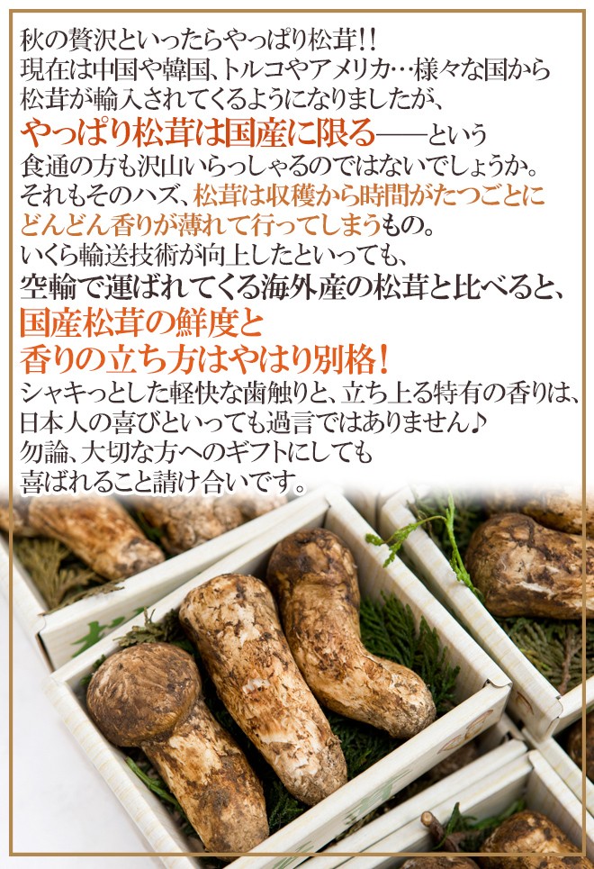 松茸　山口県産　6本338g 楽天市場】山口県産松茸の通販
