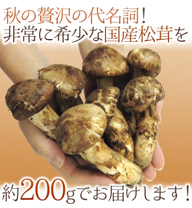 松茸400g(期間限定セール) 国産松茸” 約400g 大きさおまかせ 産地厳選【予約 9月下旬以降