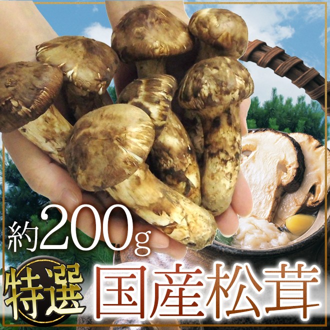 国産松茸” 約200g 大きさおまかせ 産地厳選【予約 9月下旬以降