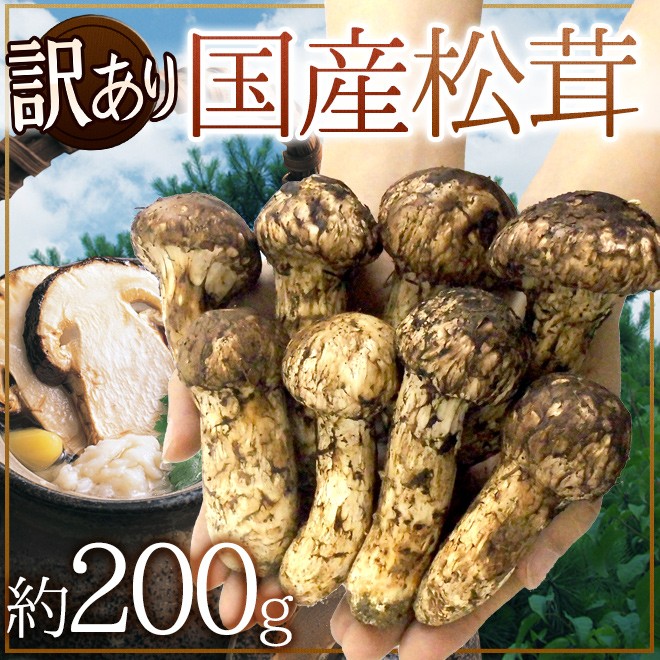 国産松茸” 訳あり 約200g 大きさおまかせ 産地厳選【予約 9月下旬以降】 送料無料 : 1084048-200gw : くらし快援隊 - 通販  - Yahoo!ショッピング