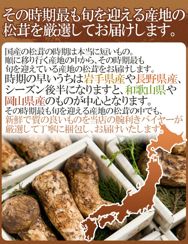 国産松茸” 訳あり 約200g 大きさおまかせ 産地厳選【予約 9月下旬以降】