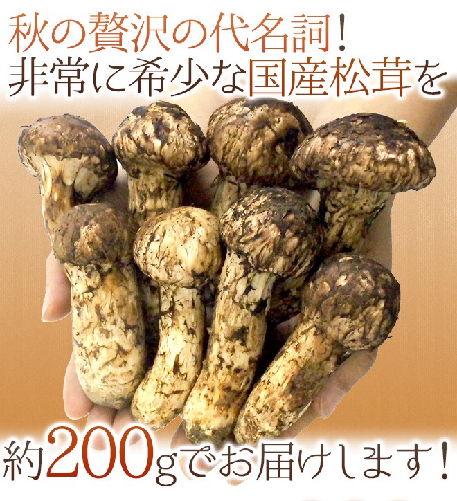 国産松茸” 訳あり 約200g 大きさおまかせ 産地厳選【予約 9月下旬以降】 送料無料 : 1084048-200gw : くらし快援隊 - 通販  - Yahoo!ショッピング