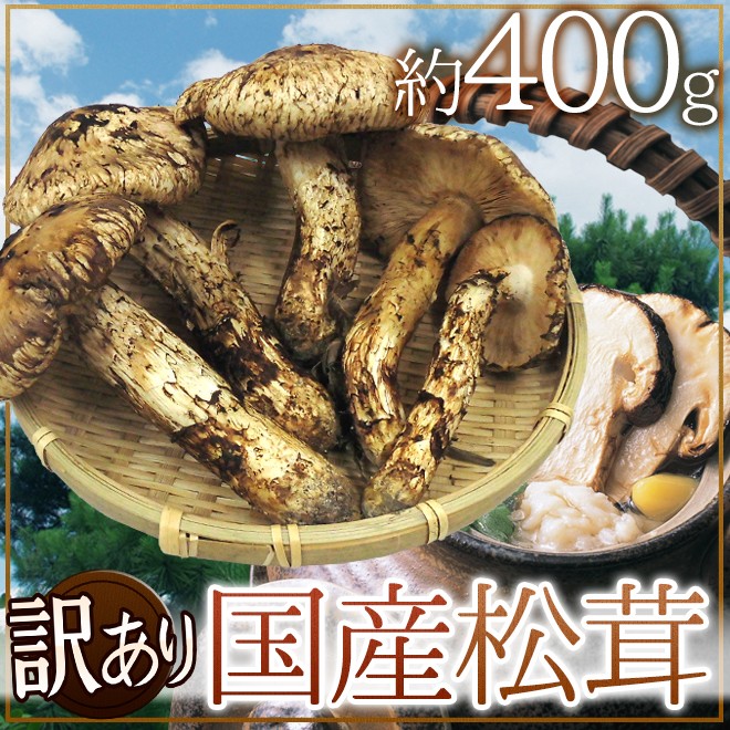 国産松茸” 訳あり 約400g 大きさおまかせ 産地厳選【予約 9月下旬以降】 送料無料 :1084048-400gw:くらし快援隊 - 通販 -  Yahoo!ショッピング