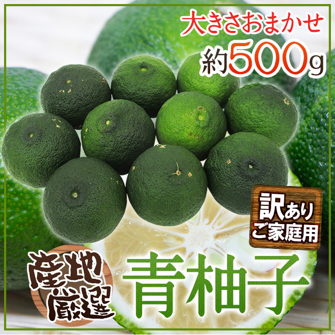 ⑤福島県産　完全無農薬　青柚子 (本柚子)　500g　約6個