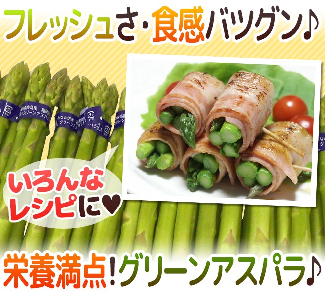 グリーンアスパラガス” 15〜25本前後 約500g /北海道/長野/広島