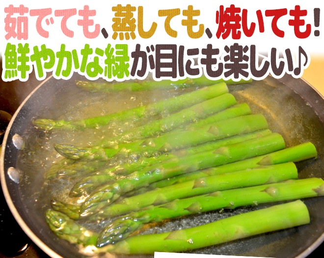 グリーンアスパラガス” 15〜25本前後 約500g /北海道/長野/広島