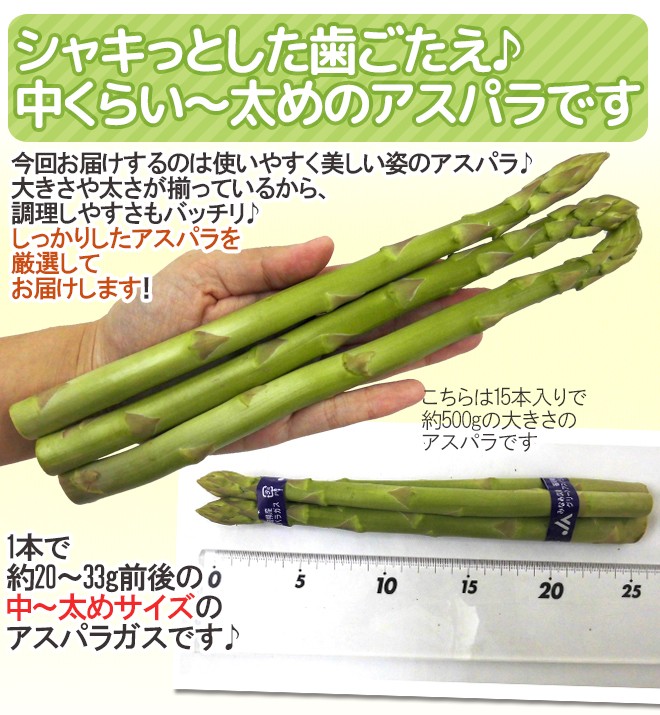 アスパラガス家庭用お問い合わせページ 予約】北海道産 アスパラガス グリーンアスパラ 1.2kg (共撰/L