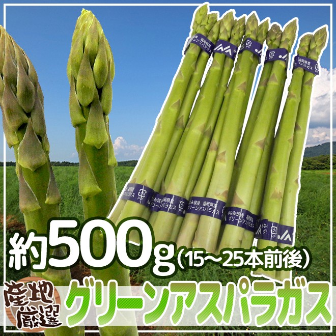 アスパラガス家庭用お問い合わせページ アスパラーク」立ったままアスパラガスが収穫できる！腰を曲げ
